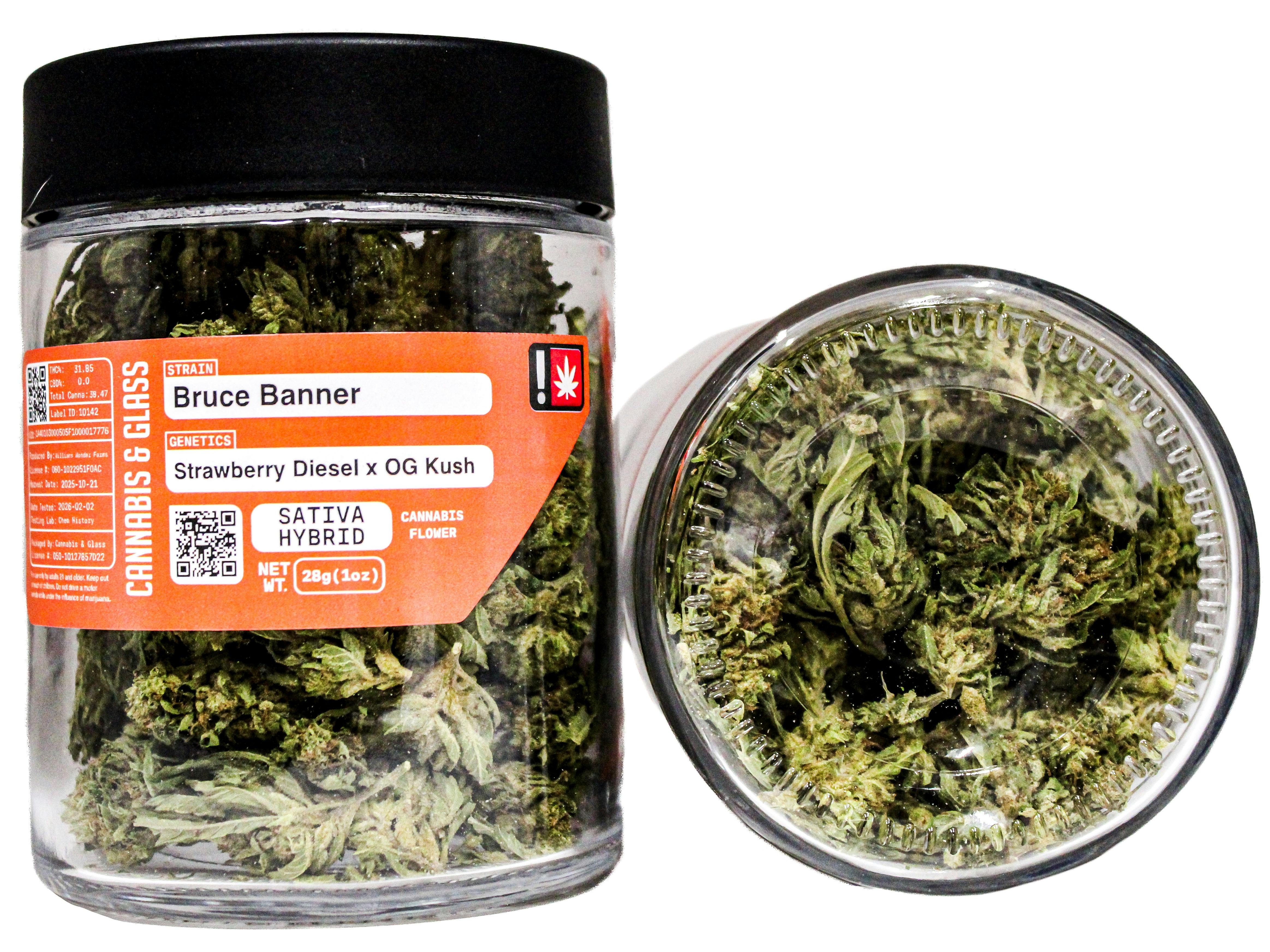 C&G Bruce Banner: 8734058321 H42