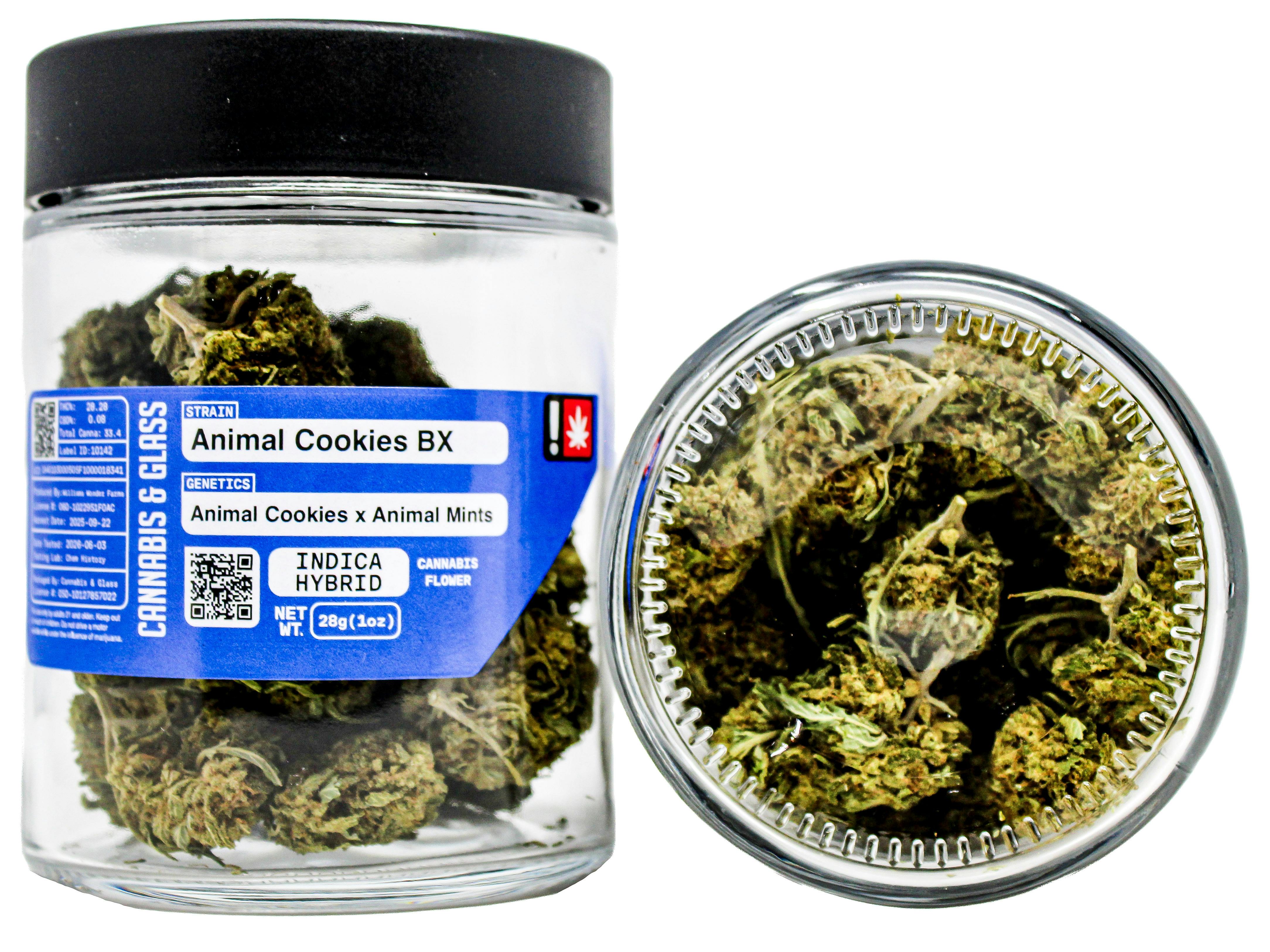 C&G Animal: Cookies Bx 8743135362 H48