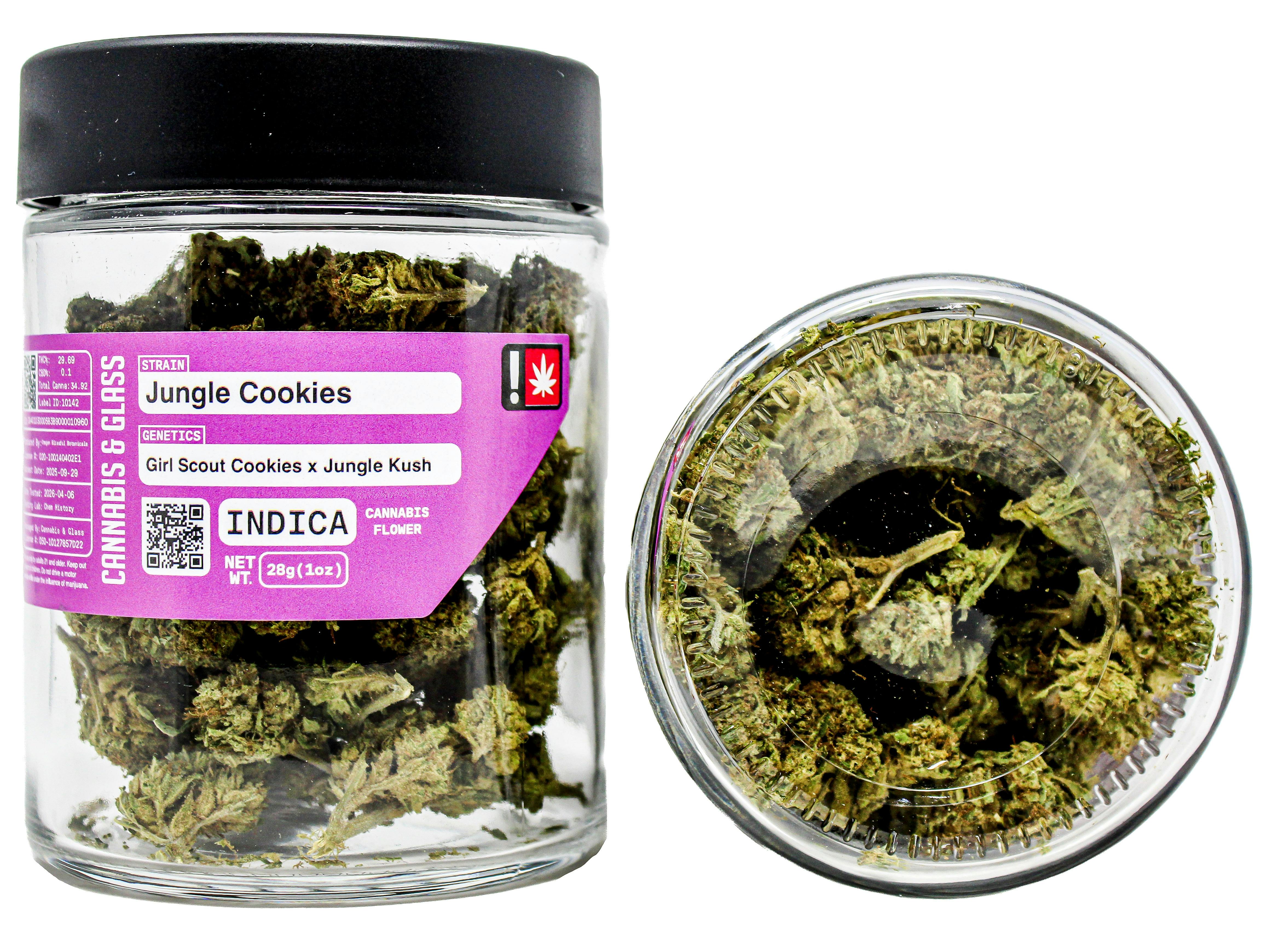 C&G Jungle: Cookies 5518946413 G78