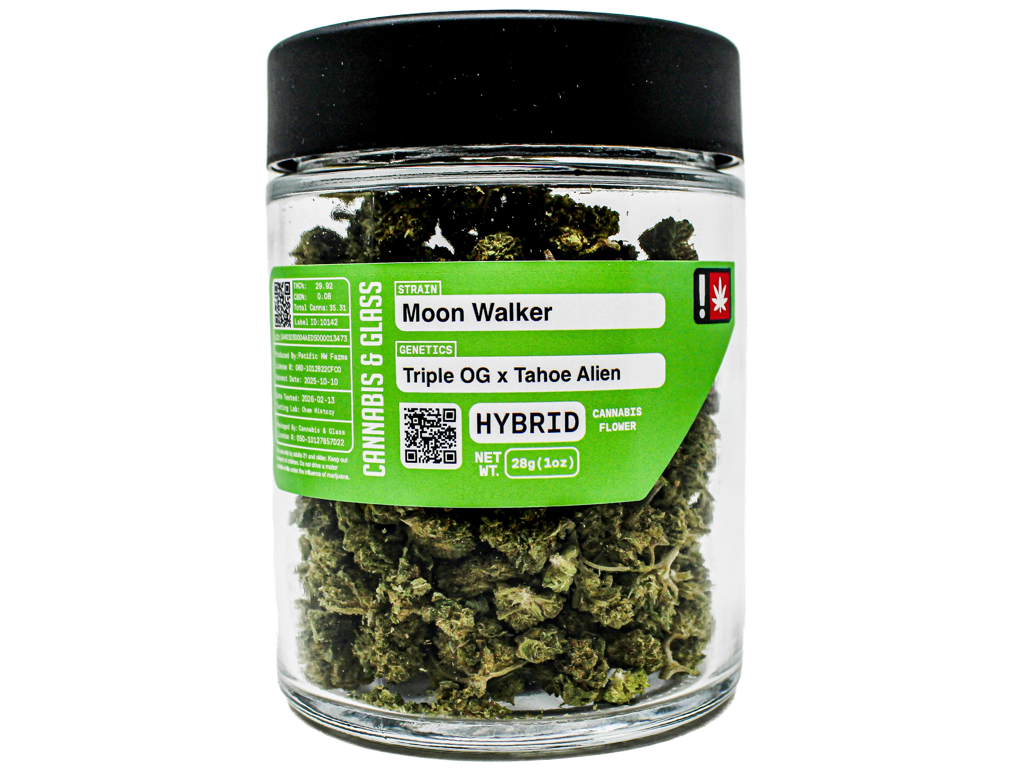 C&G Moon Walker: 8610272231 I2