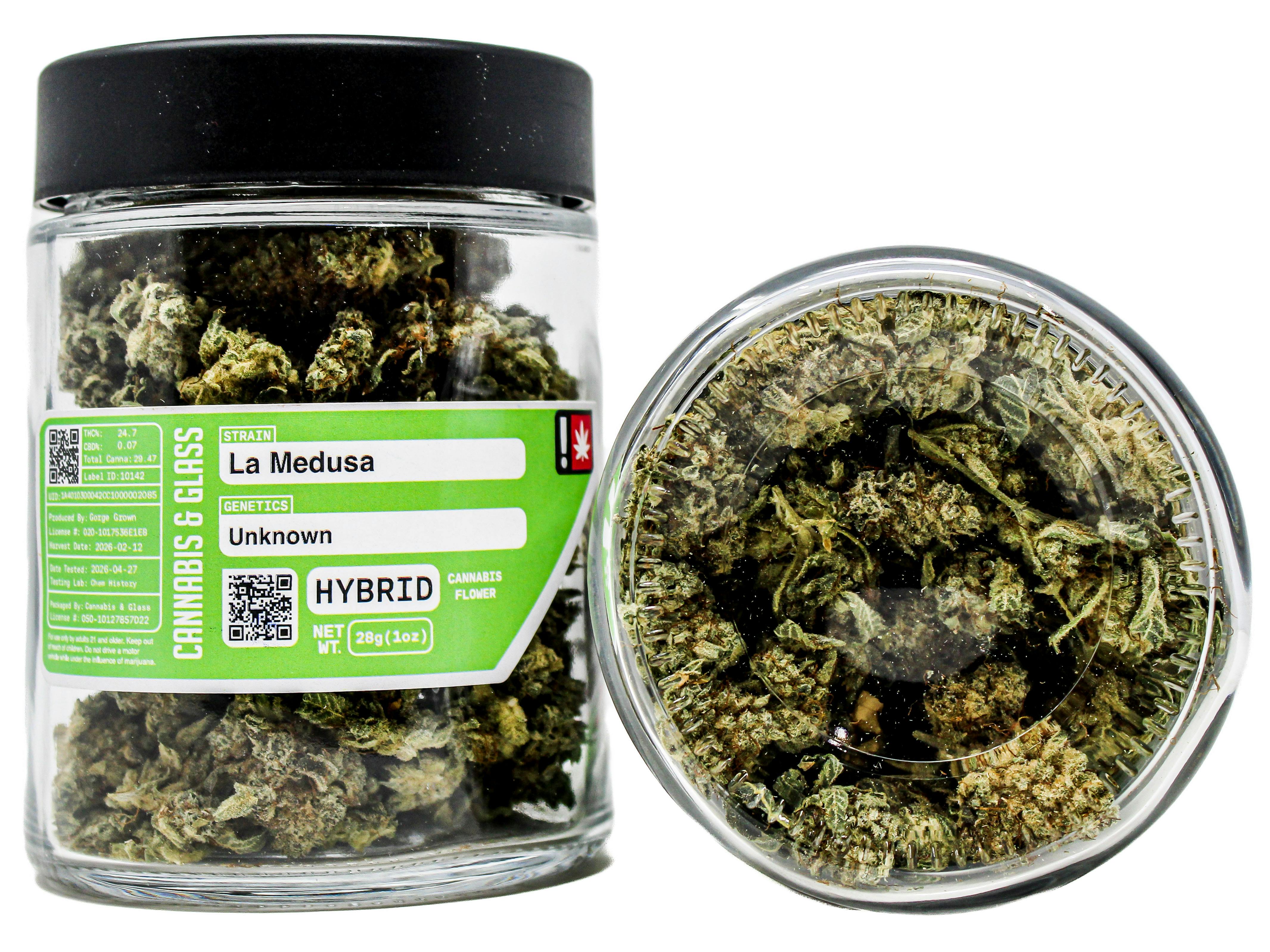 GRG La Medusa: 3730976559 I74