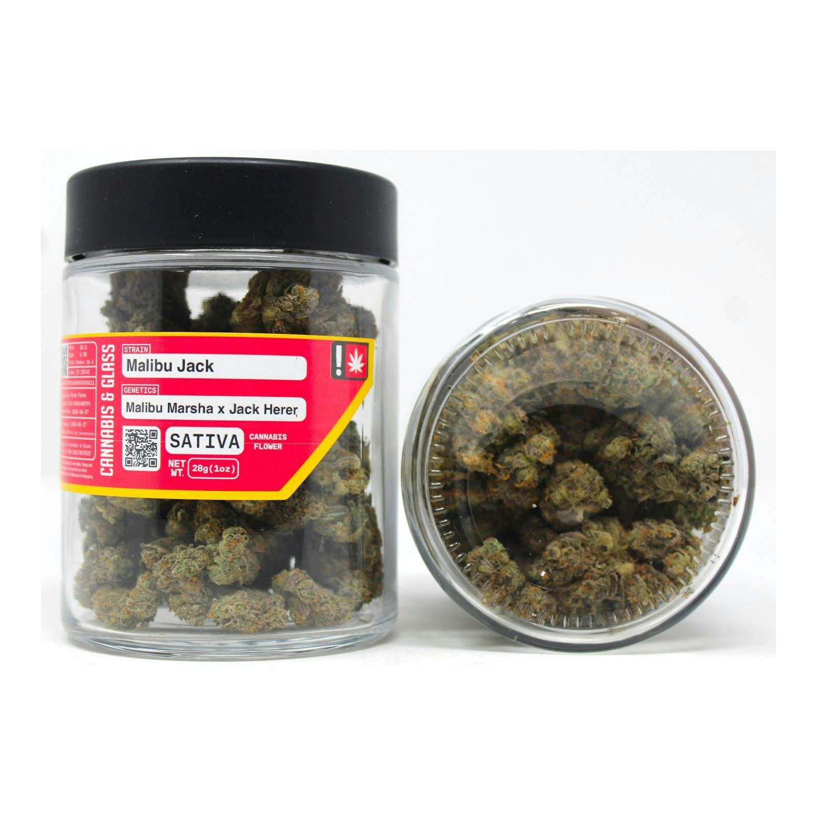 C&G Malibu Jack 28g 8881373655 H22|A43