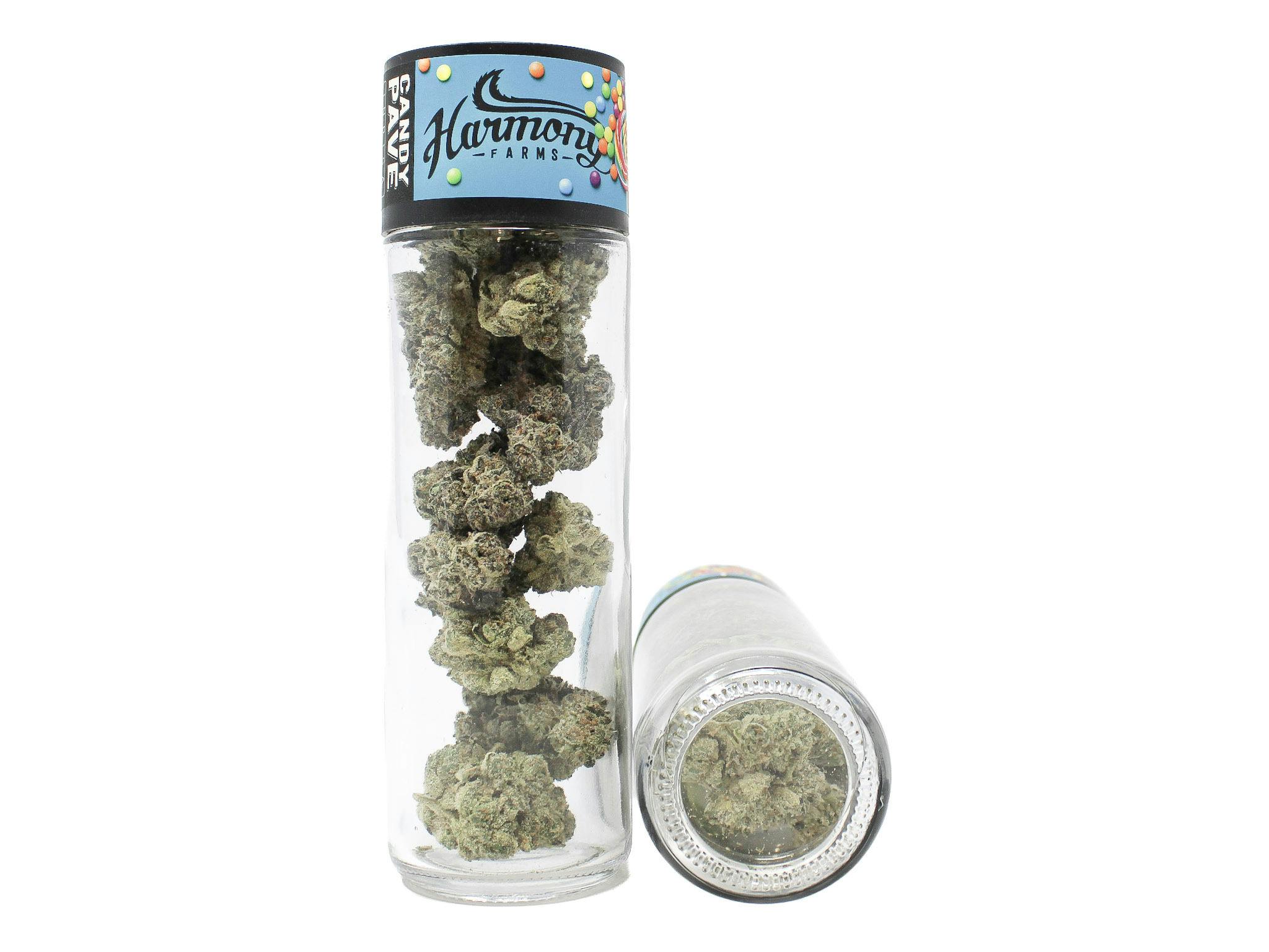 HF Candy Pave 14g 44631 OZ79|AOF