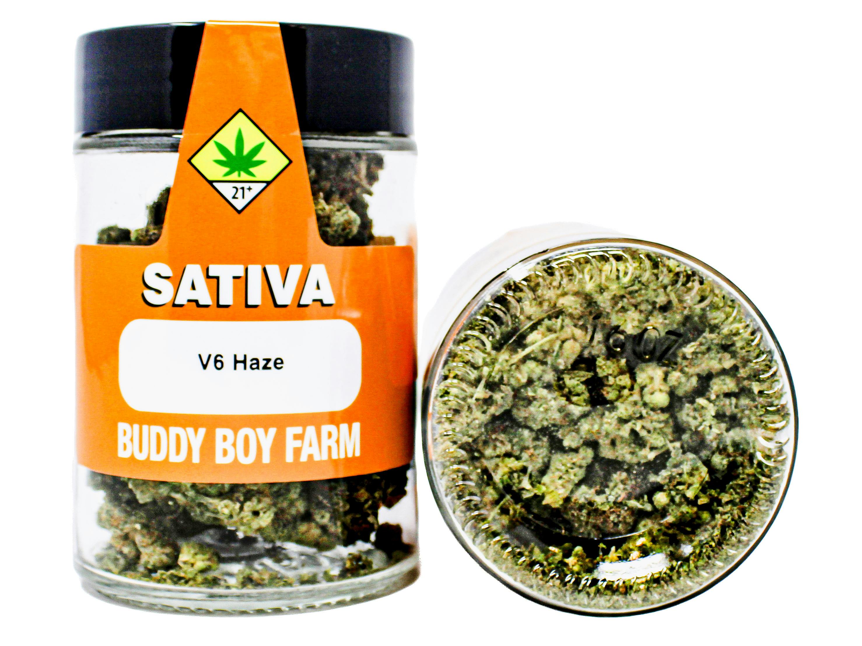 BDB V6 Haze 28g 50687 F44|B17 cannabis product