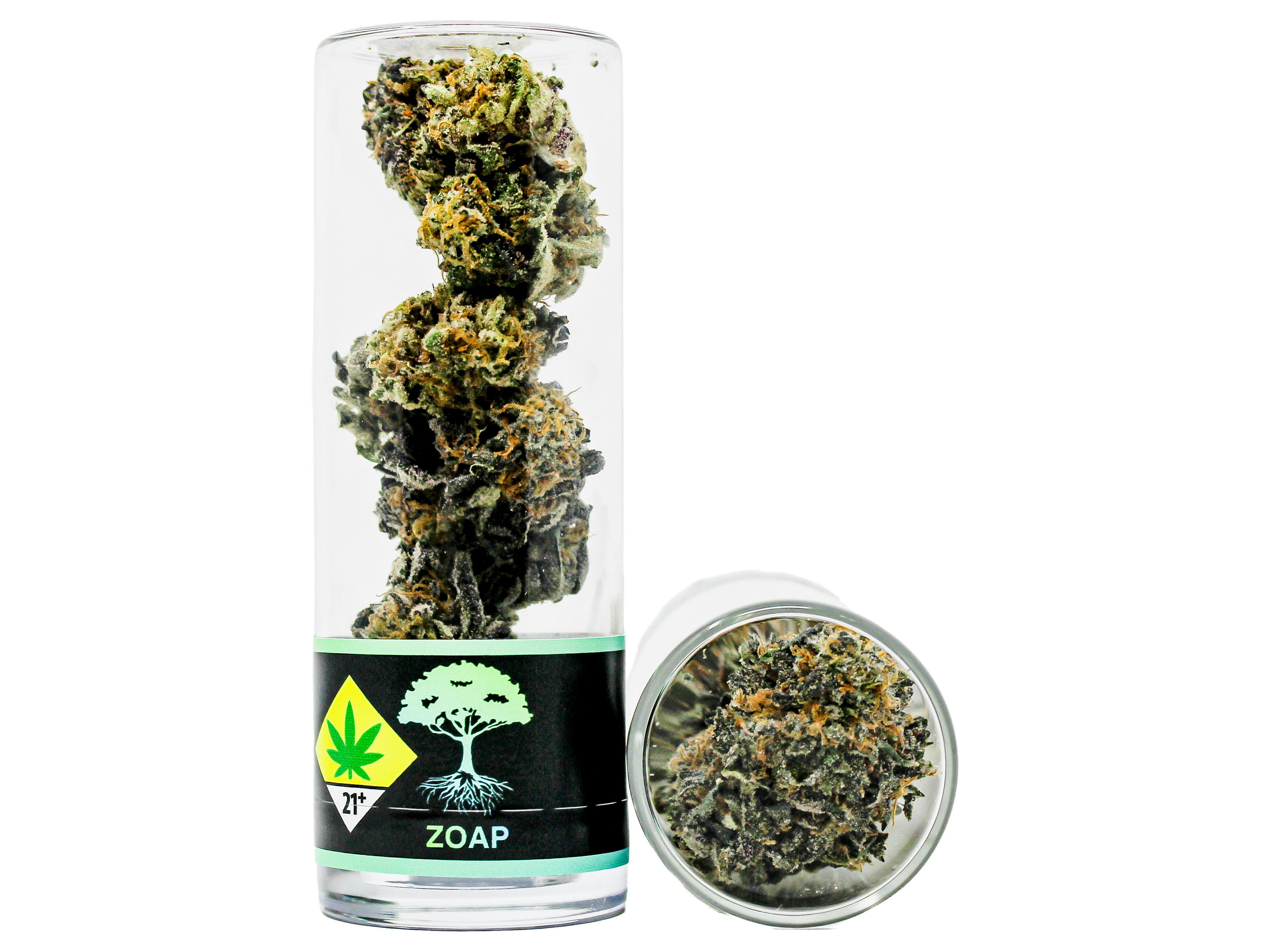 BR Zoap 3.5g 51559 D17.1|B4