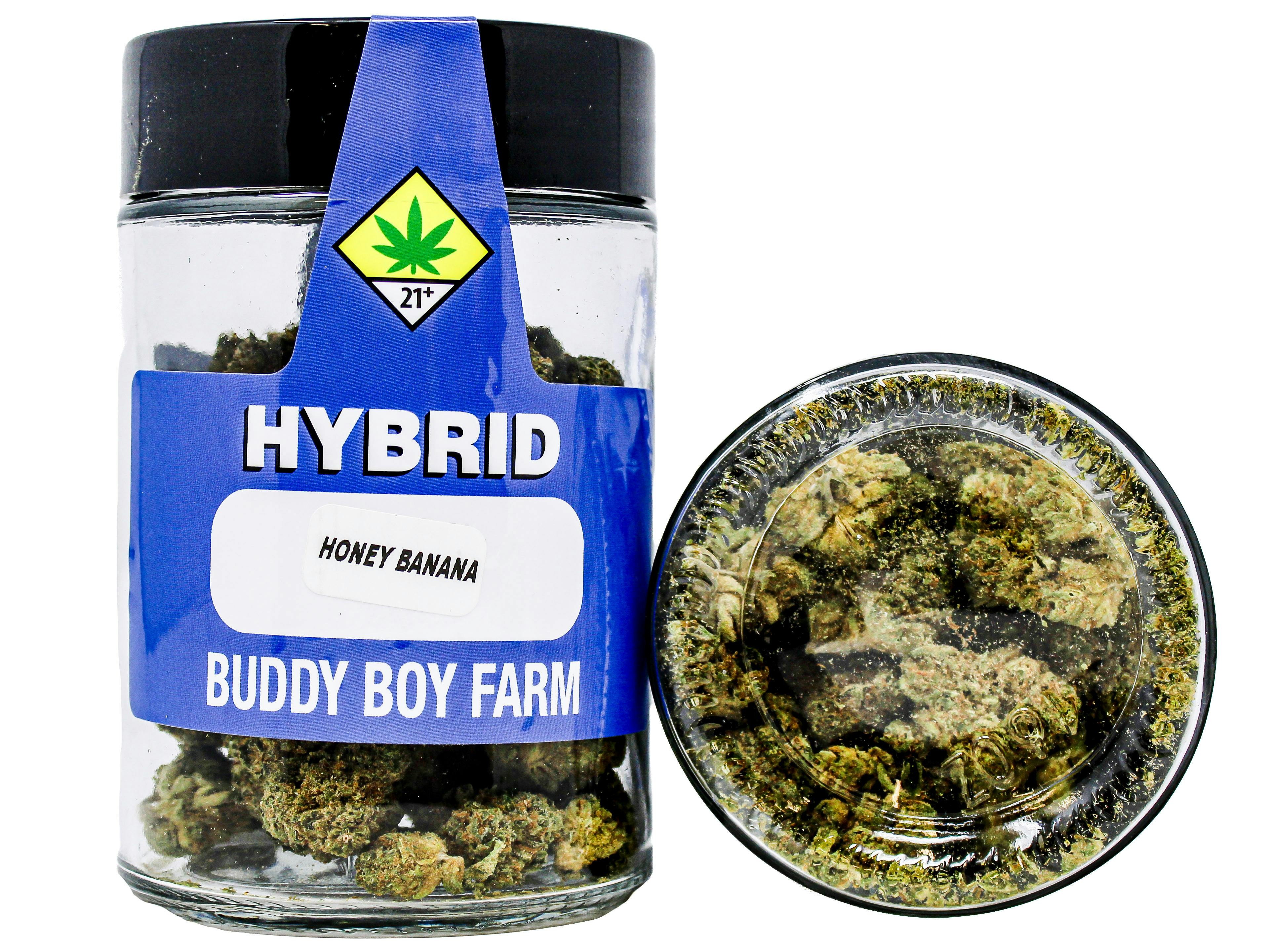 BDB Honey Banana 28g 4001474955 F7|C17 cannabis product