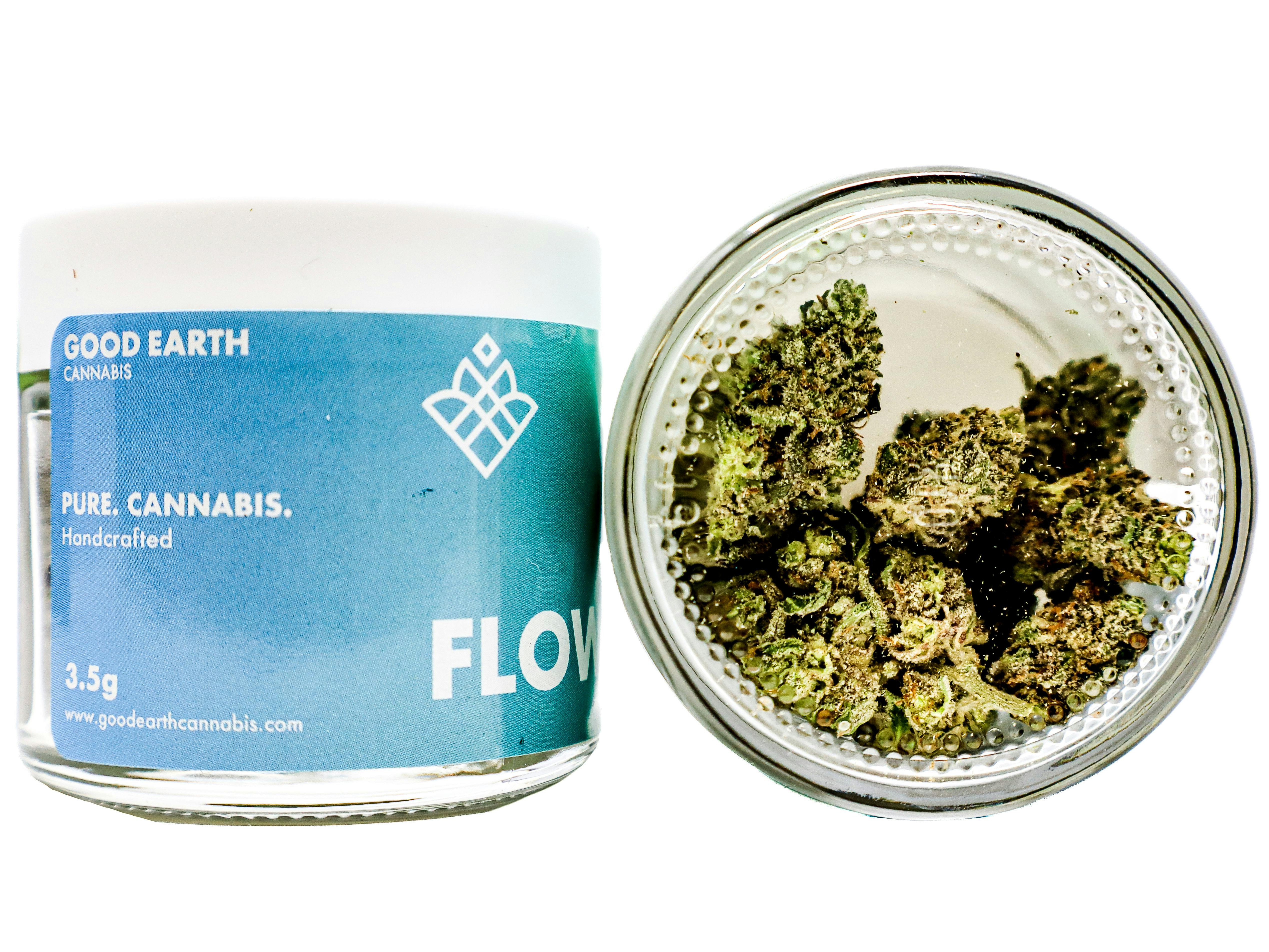 GEC Apples and Oranges 3.5g 5067960414 E40.1|AOF