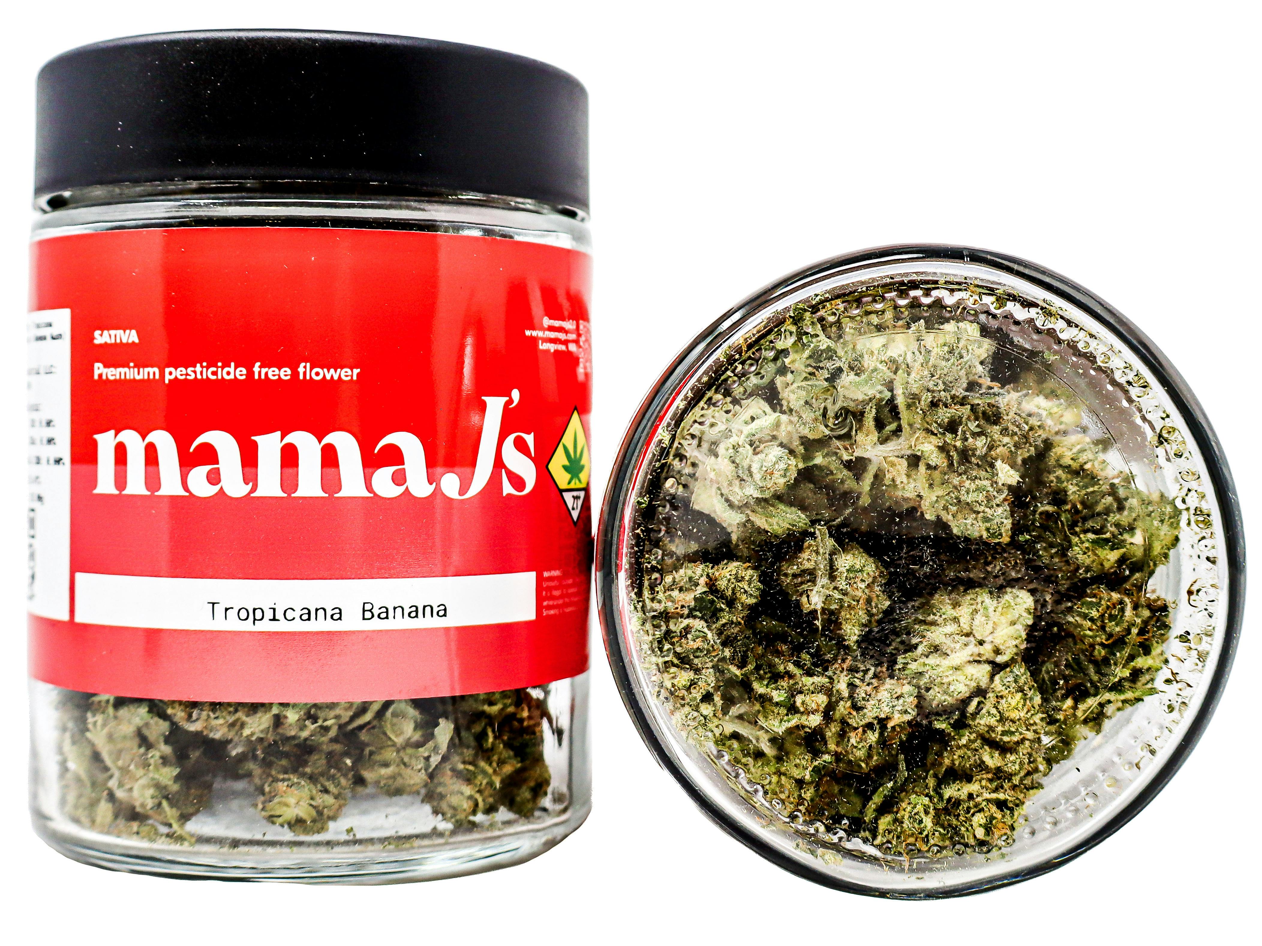 MMJ Tropicana Banana 28g 7916603490 OZ25|AOF