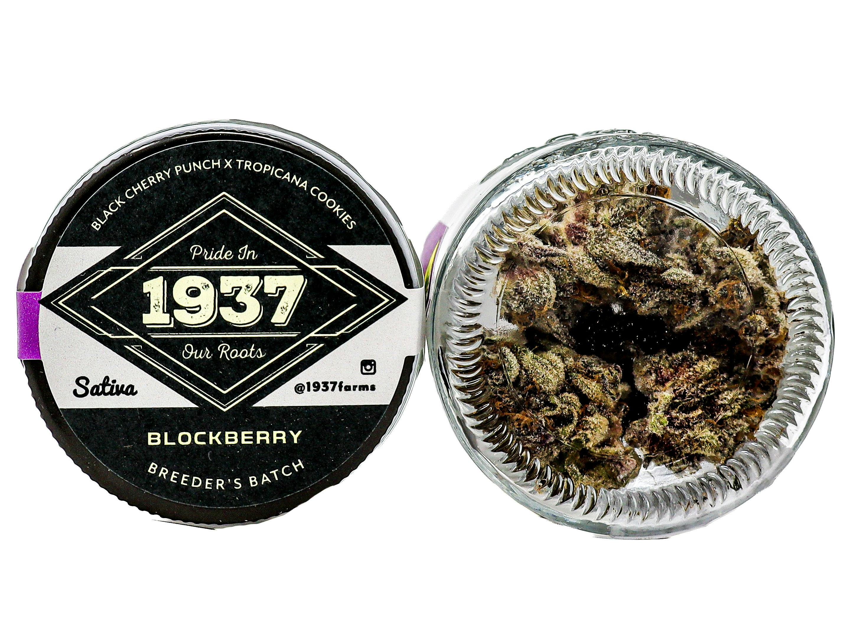 1937 Blockberry 3.5g 1269264502 D23.2|G6 cannabis product