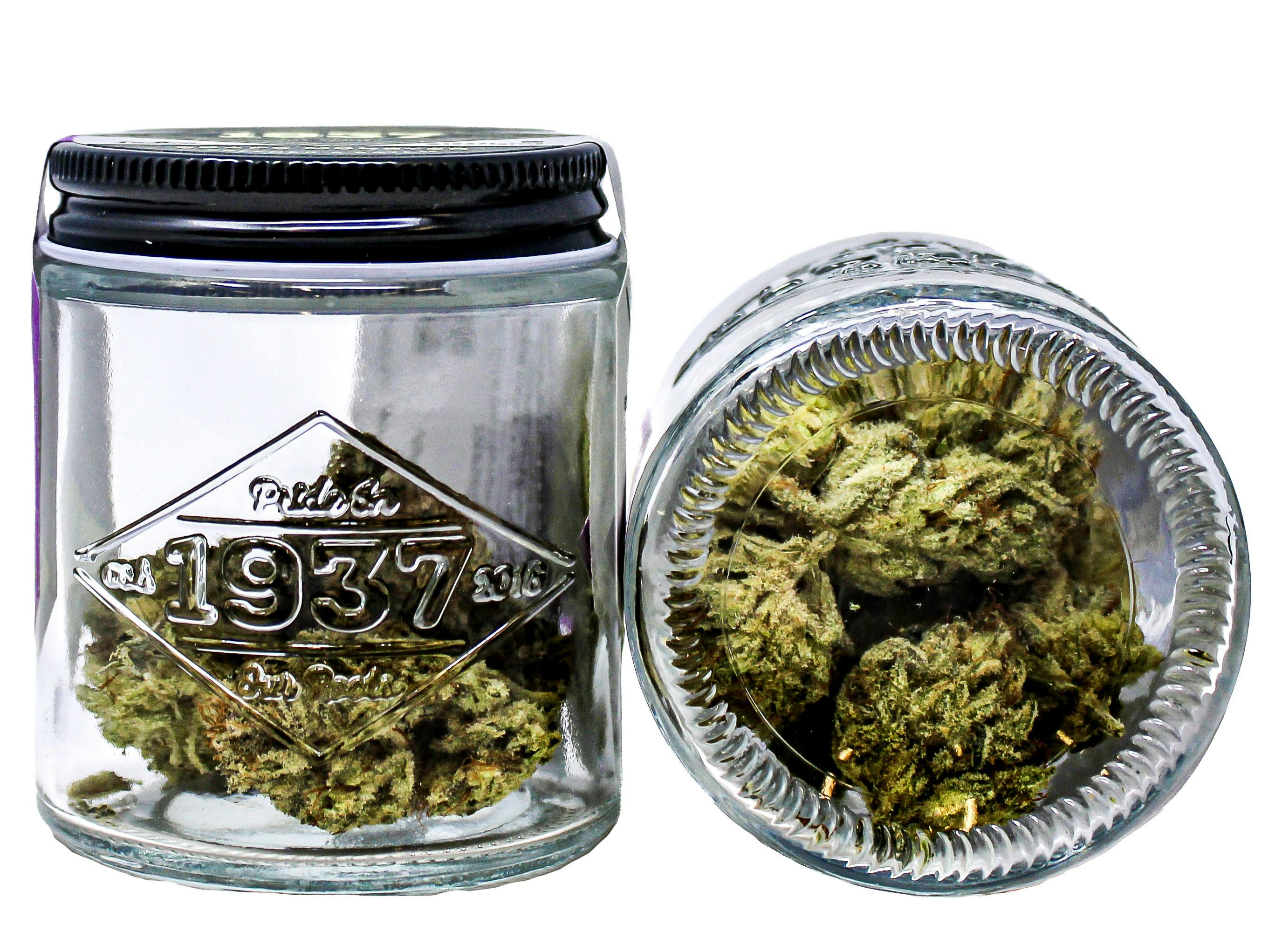 1937 Grape Monster 3.5g 7750004866 C20.1|G6