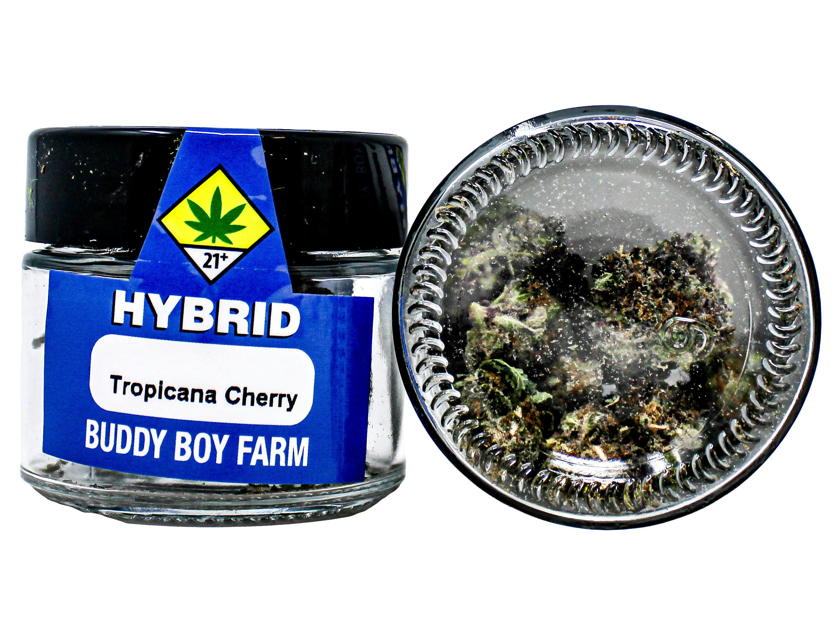 BDB Tropicana Cherry 4g 9274501418 D22.3|AOF cannabis product