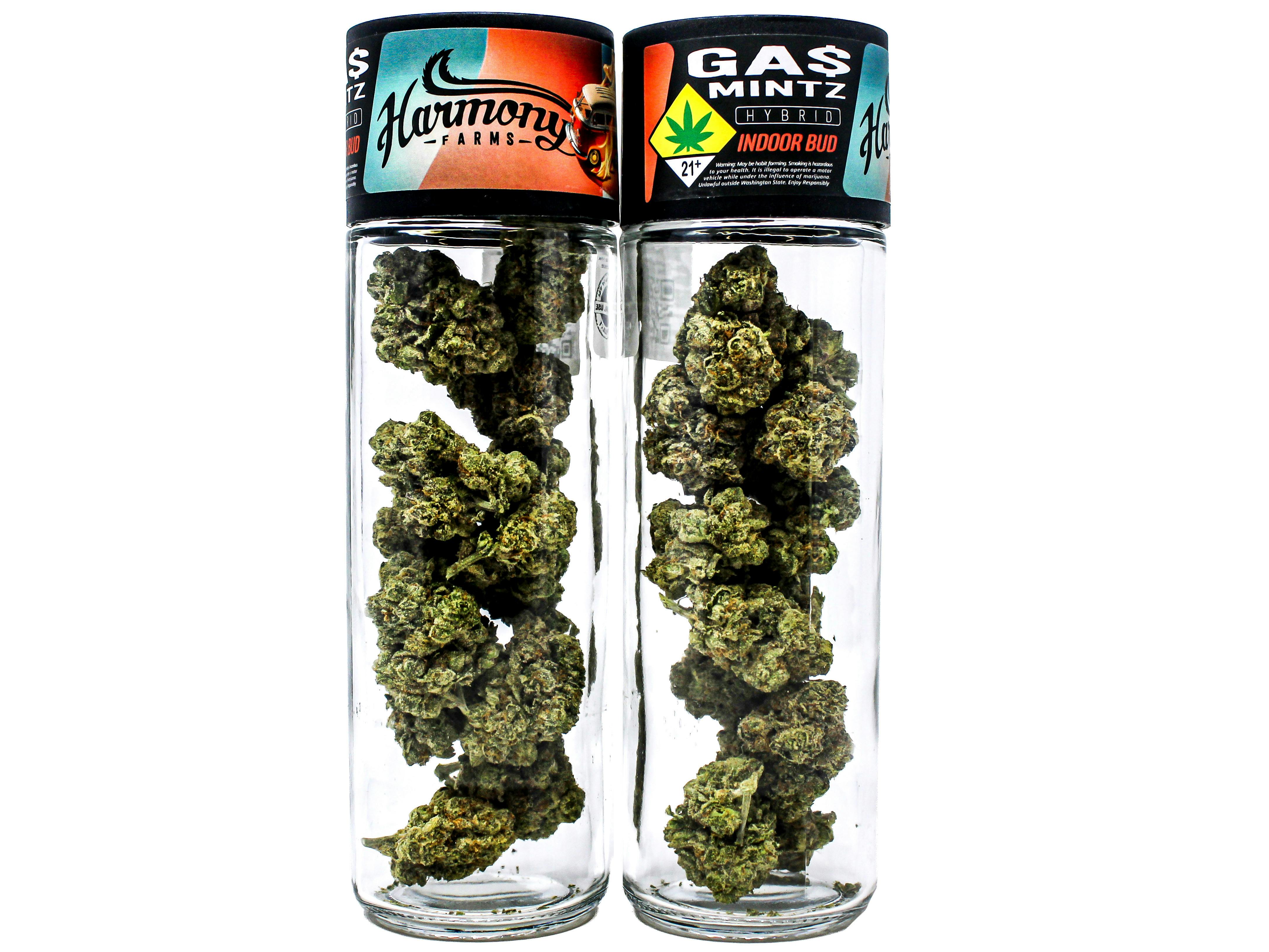 HF Gas Mintz 14g 5368723094 F4|G17 cannabis product