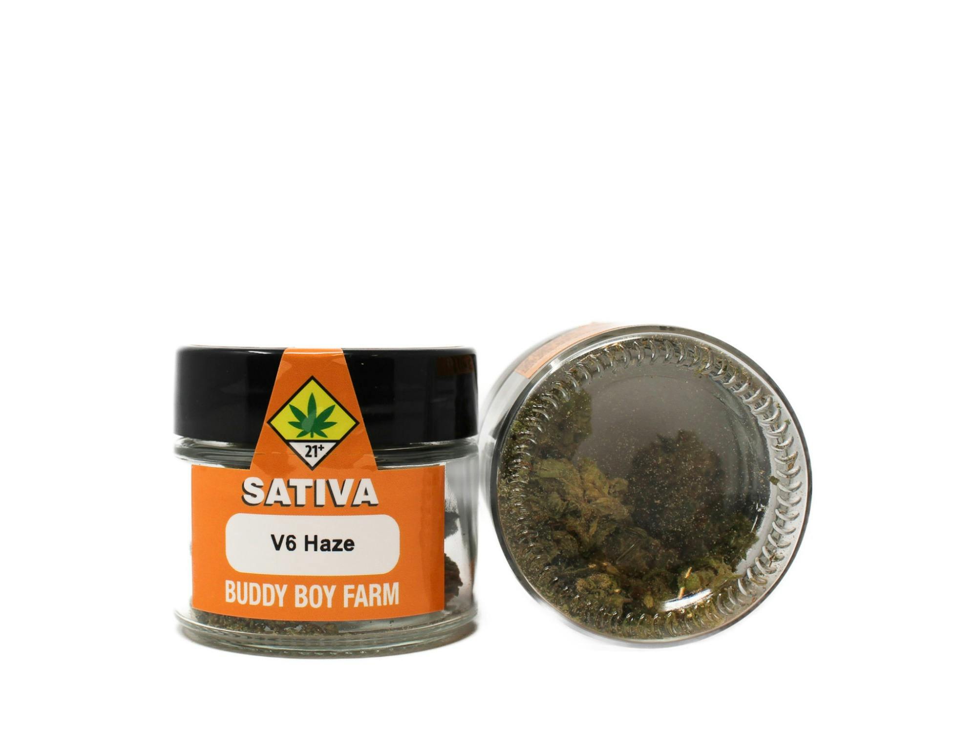 BDB V6 Haze 4g 5569669 C3.1|B18
