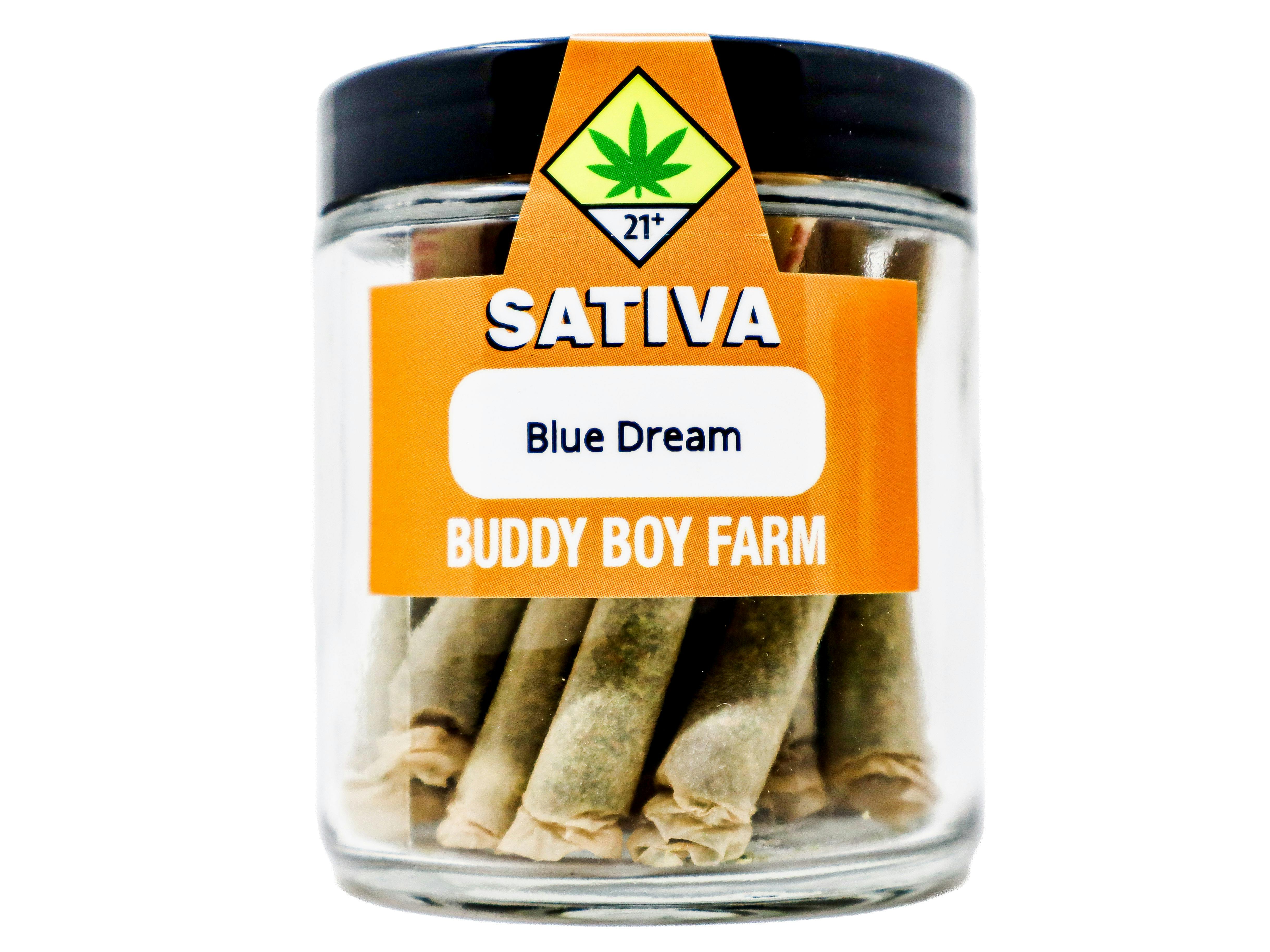 BDB Blue Dream Preroll 28pk 14g 49232 E19.1|AOF