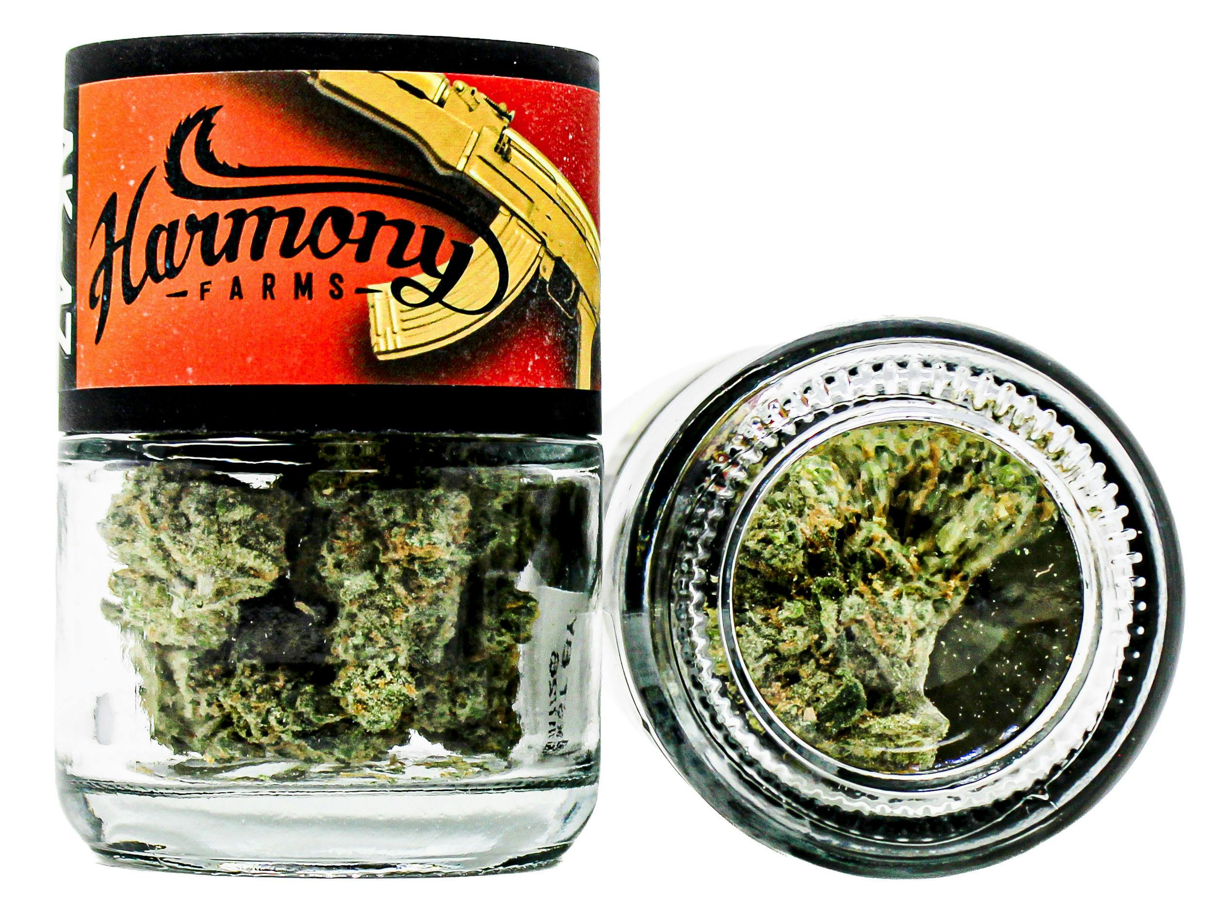 HF AK 47 3.5g 26798 D1.2|AOF