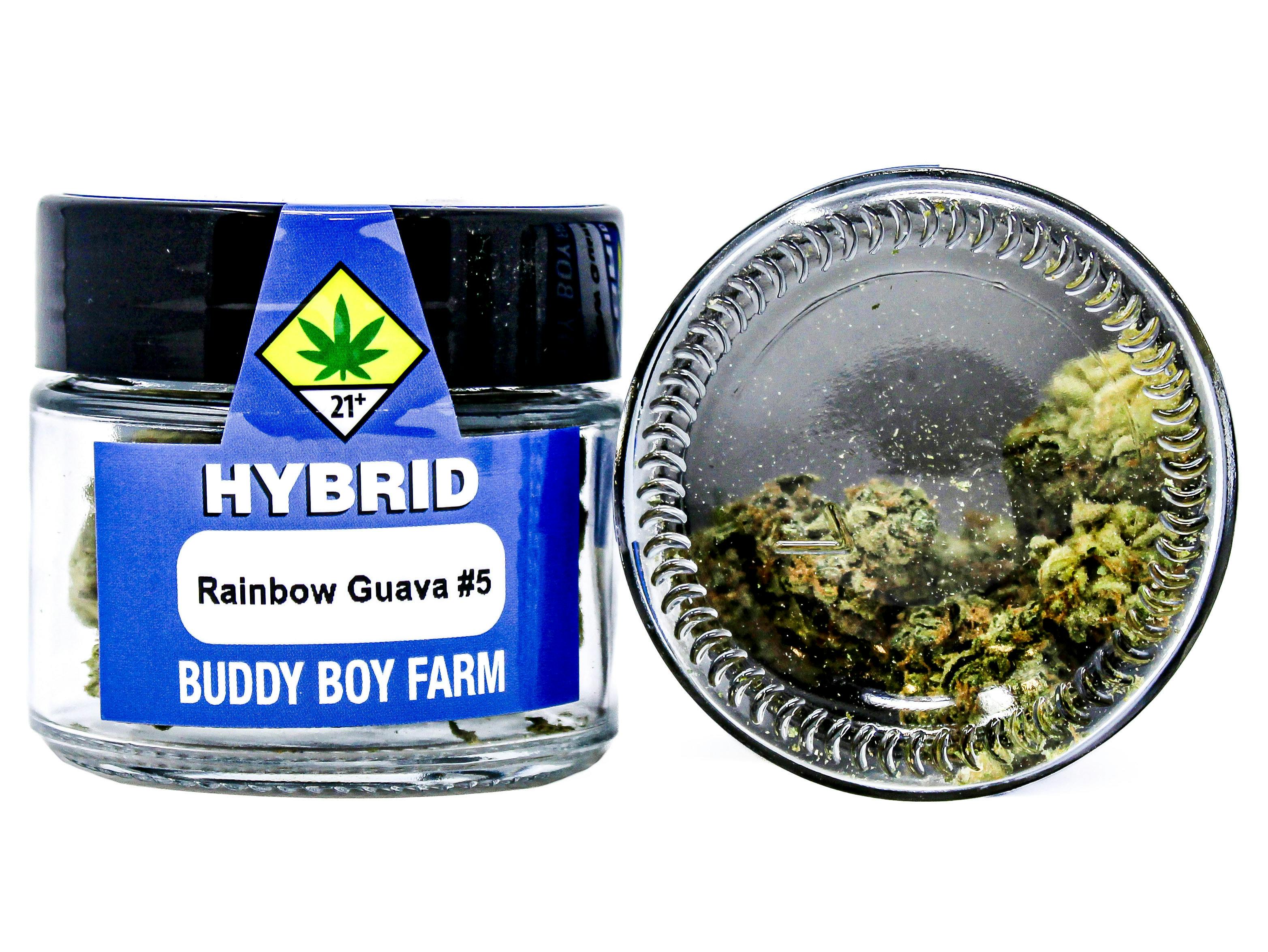BDB Rainbow Guava 4g 7927518068 D32.3|AOF