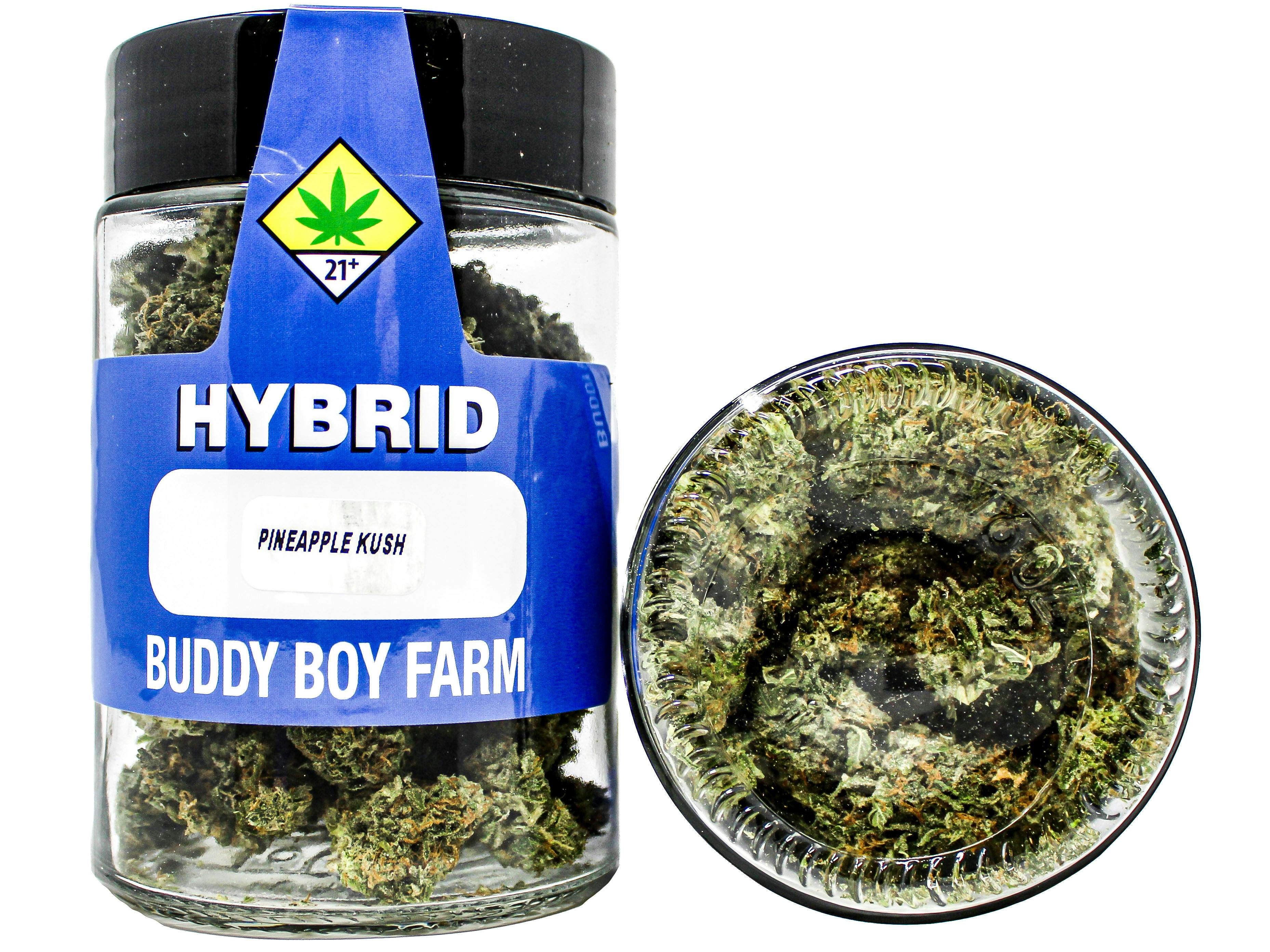 BDB Pineapple Kush 28g 1436451667 F24|AOF cannabis product