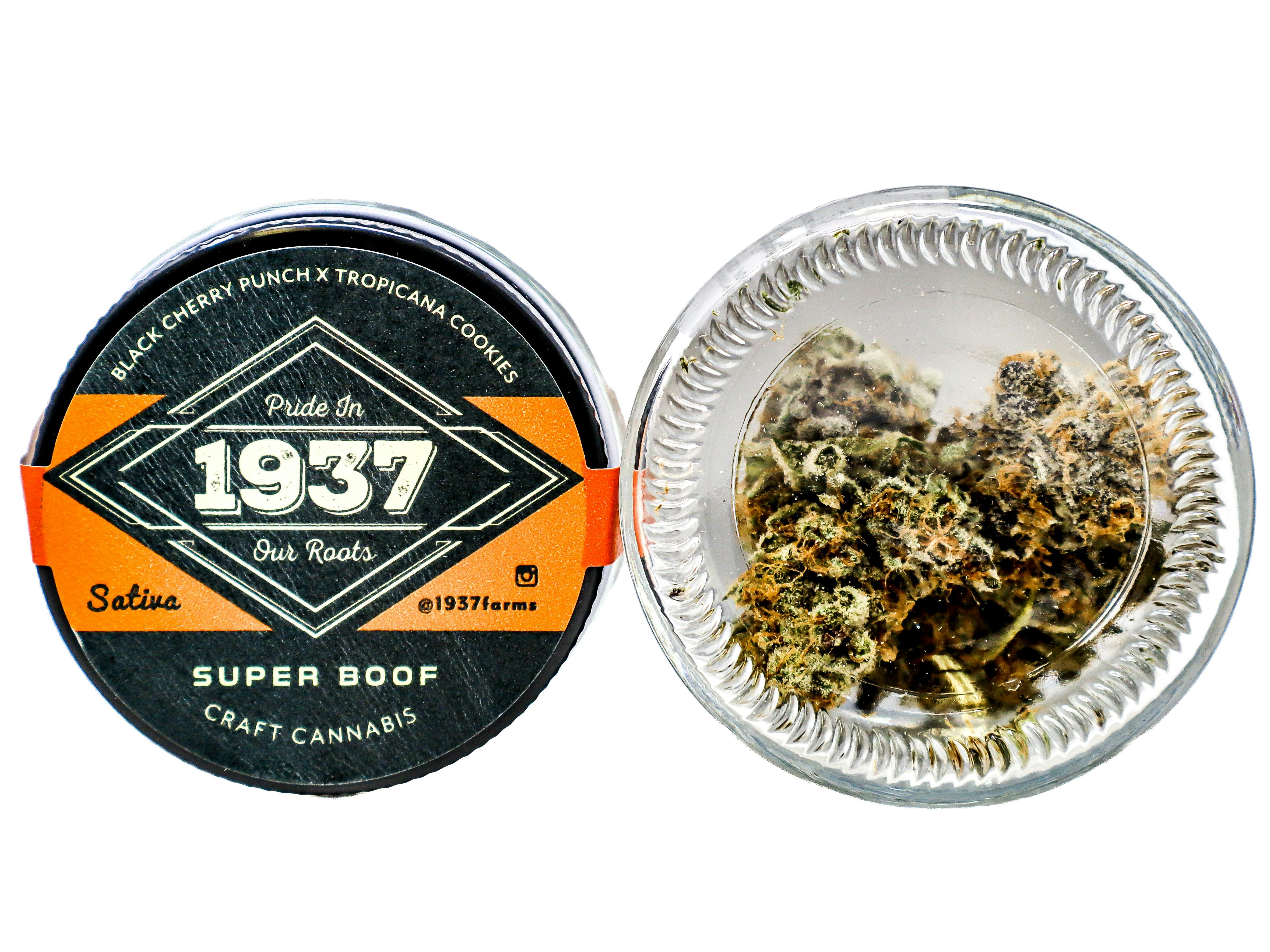 1937 Super Boof 3.5g 1695853789 C9.3|M12 cannabis product