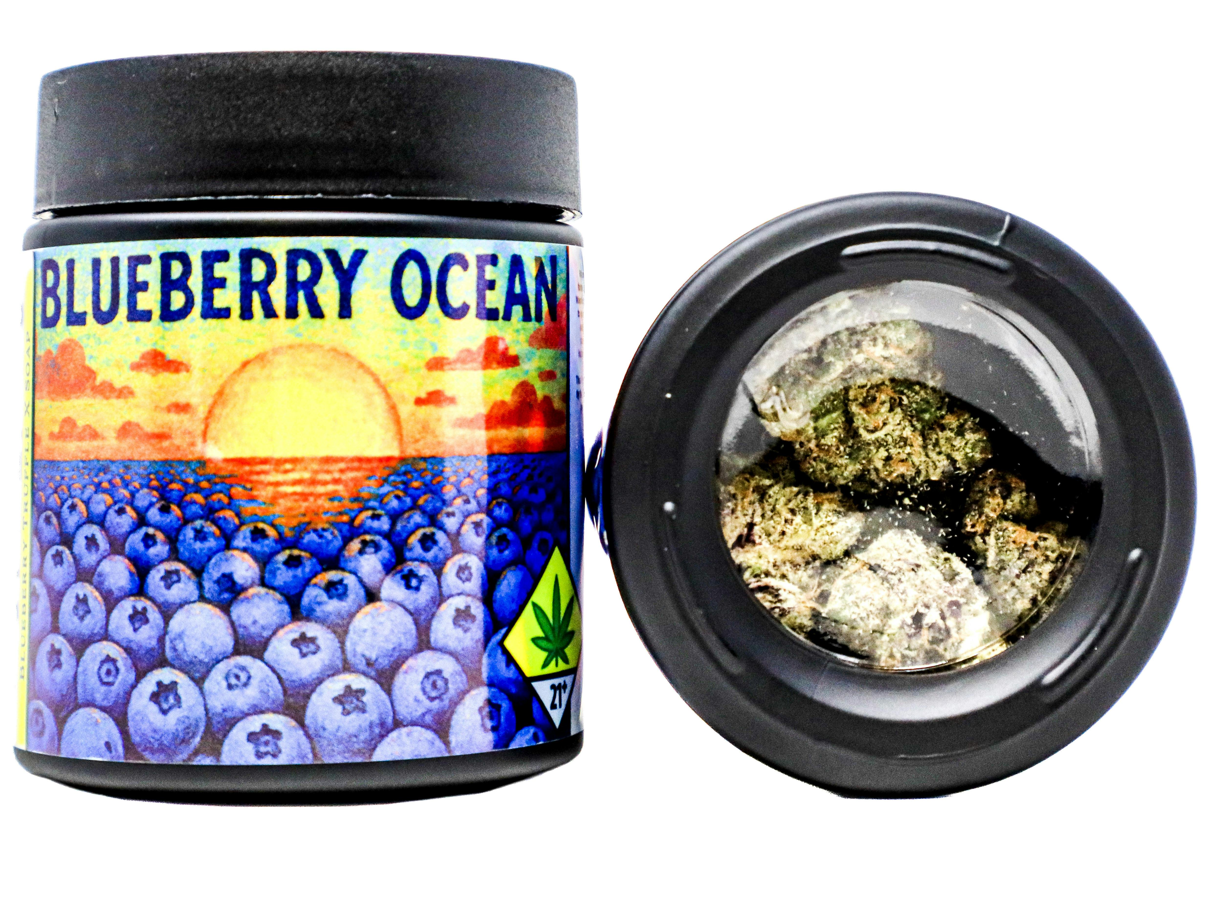 TCF Blueberry Ocean 3.5g 3444275672 C29.2|J14 cannabis product