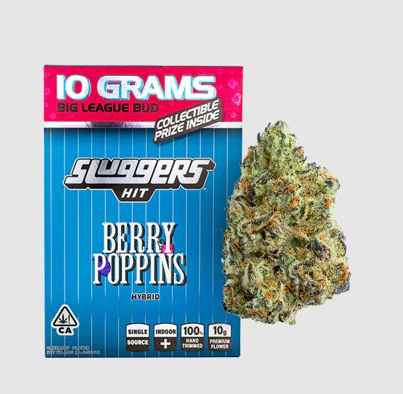 Sluggers | Flower | Berry Poppins | H | 10g