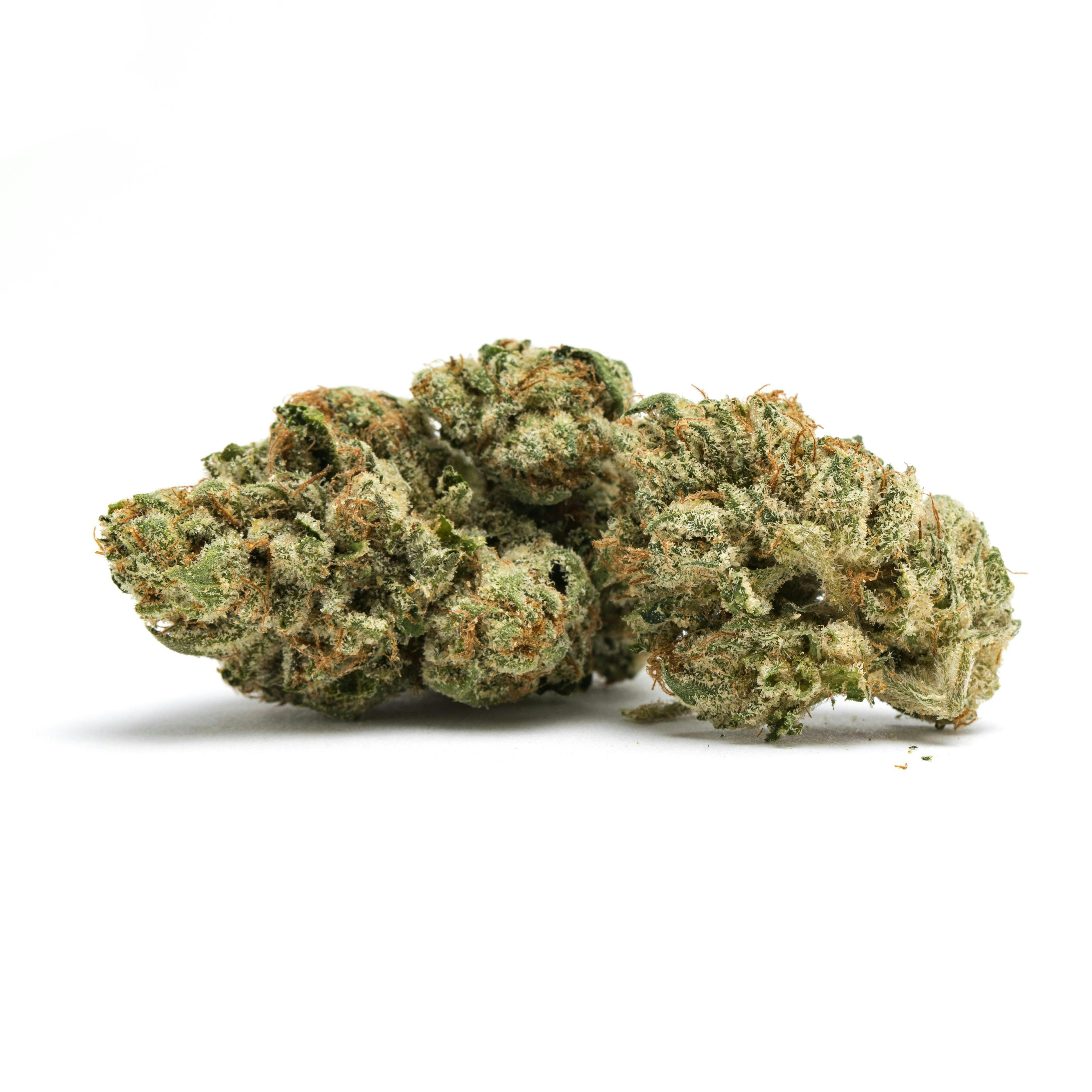 Nameless Genetics | Nuggies | Incognito OG | I | 7g