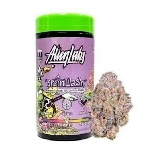 Alien Labs | Flower | Brain Wash | H | 10g