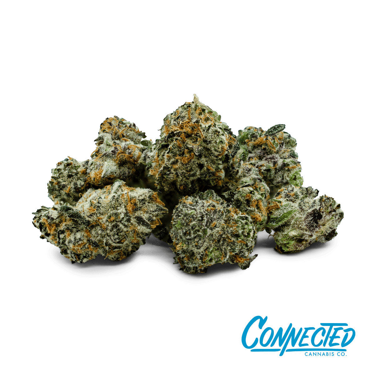 Connected Cannabis Co. | Flower | Gascotti | I | 14g