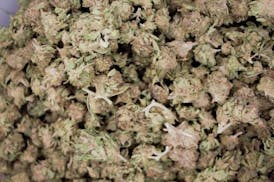 Low Quality- JMO | Flower | 1oz (28g)