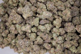 Hybrid Farms - Girl Crush | Flower | 1/2oz (14g)