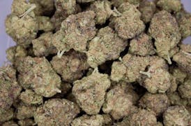 Spritzer | Flower | 1oz (28g)