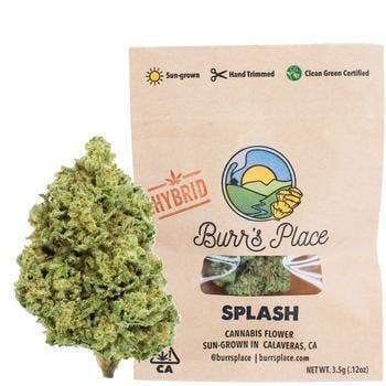 BURRS PLACE: Lemon Pepper 1/8th