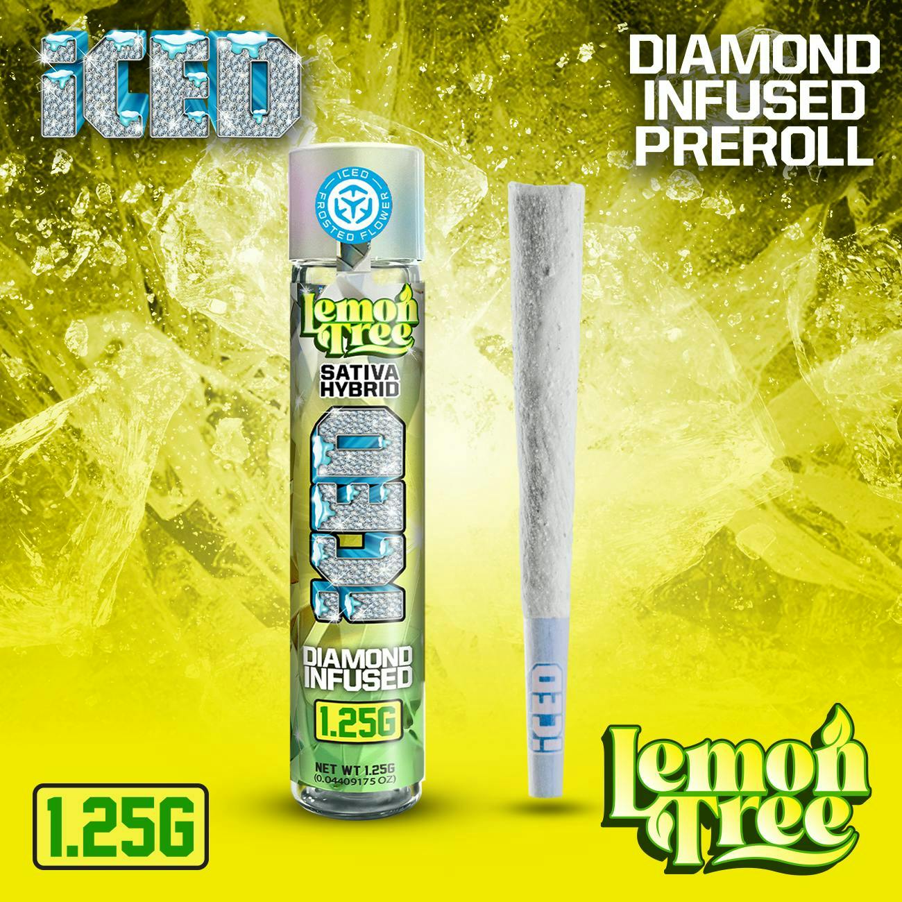 Iced - Lemon: Tree Inf Pr
