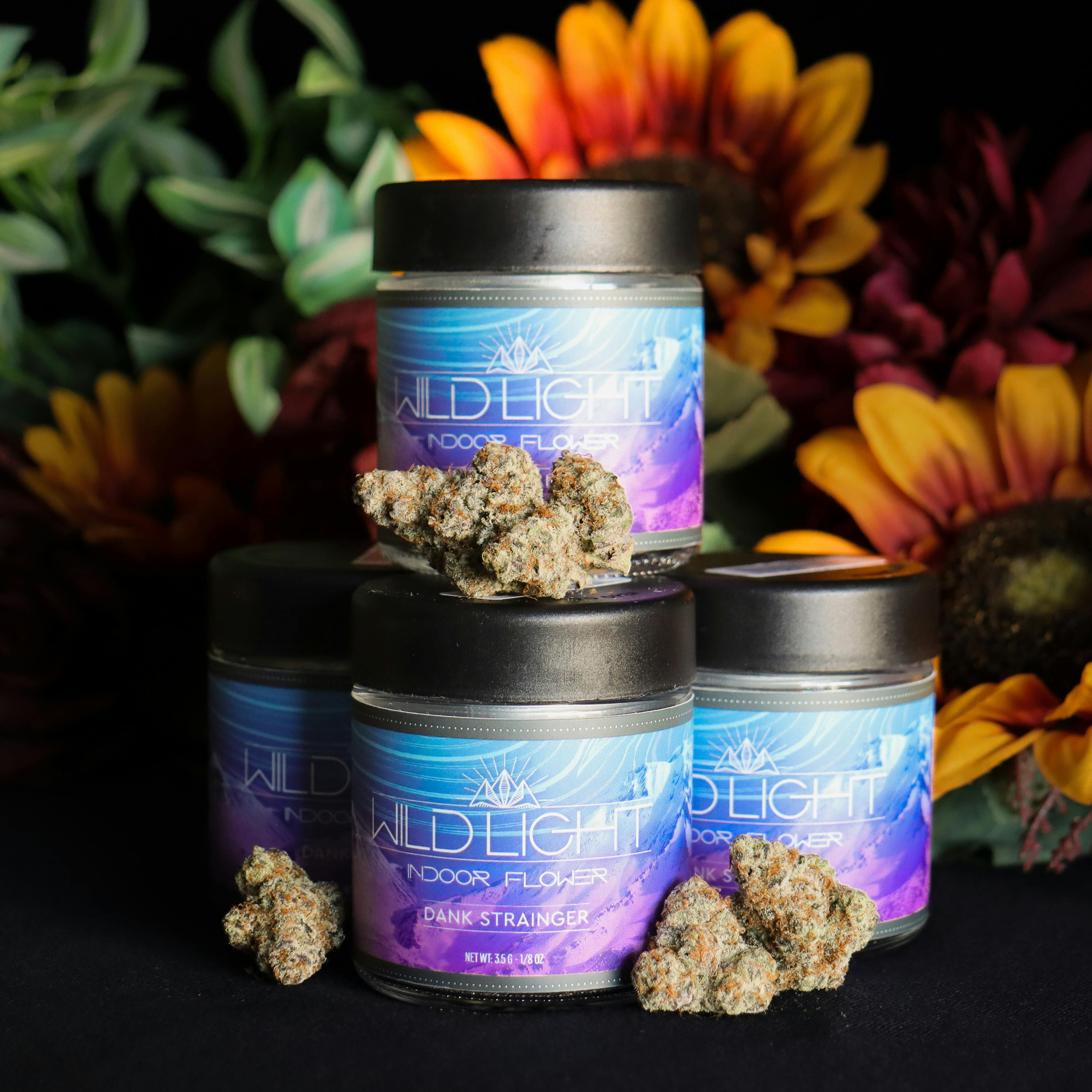 Wildlight - Grape Gas 1/8th