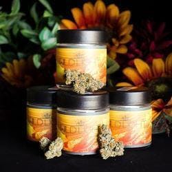 Wildlight - Sour Diesel 1/8th