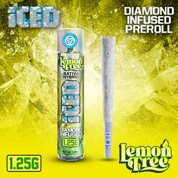 ICED - NYC Diesel: Inf Pr
