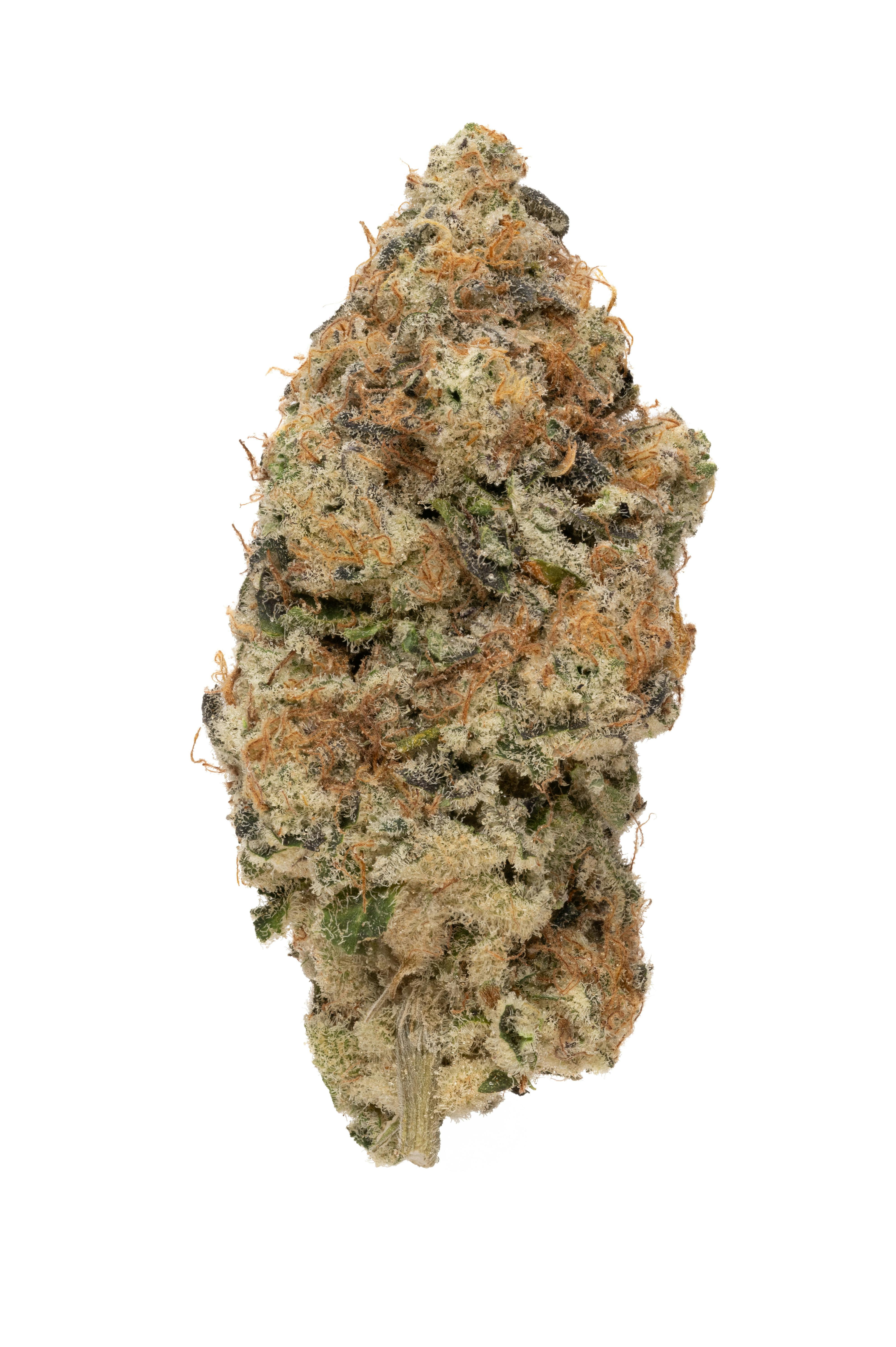 Rolling Green Cannabis Pina Colada Indoor 3.5g