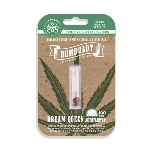 DREAM QUEEN FEMINIZED (AUTO) SEEDS 3 pack