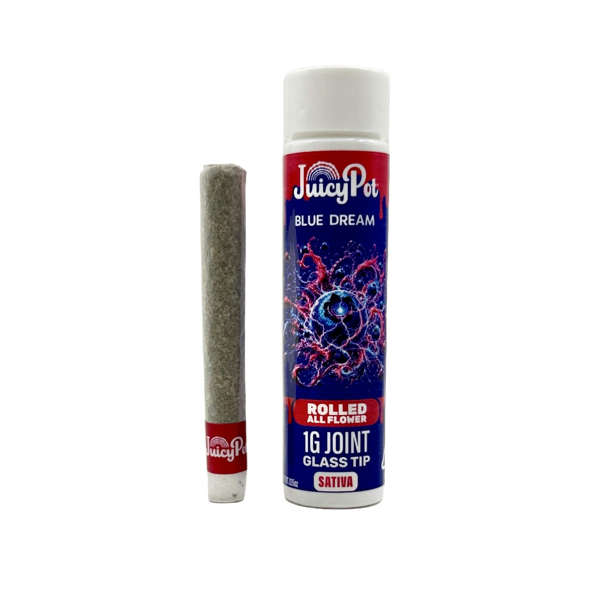 Blue Dream Preroll Single 1g