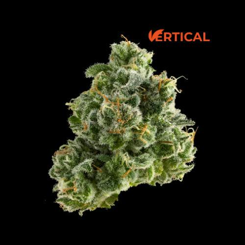 Vertical: Flower | Hypnotic