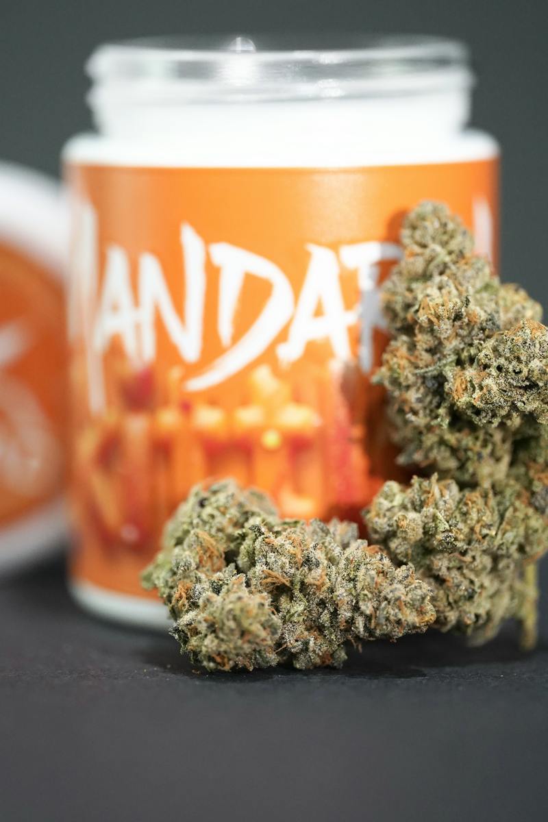 GNOMAD FLOWER - MANDARIN ZKITTLES