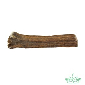 Moose Antler Dog Toy I 30-50mg CBD/CBG I (Med/Long)