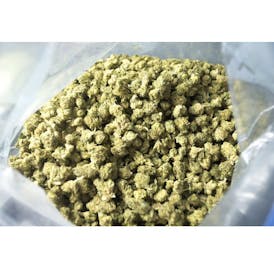 Snakes Pie | Hybrid Smalls Flower | FLUID