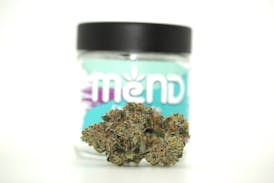 Sherbanger | Hybrid Flower | Lodestar