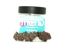 Halle Berry | Hybrid Flower | Lodestar