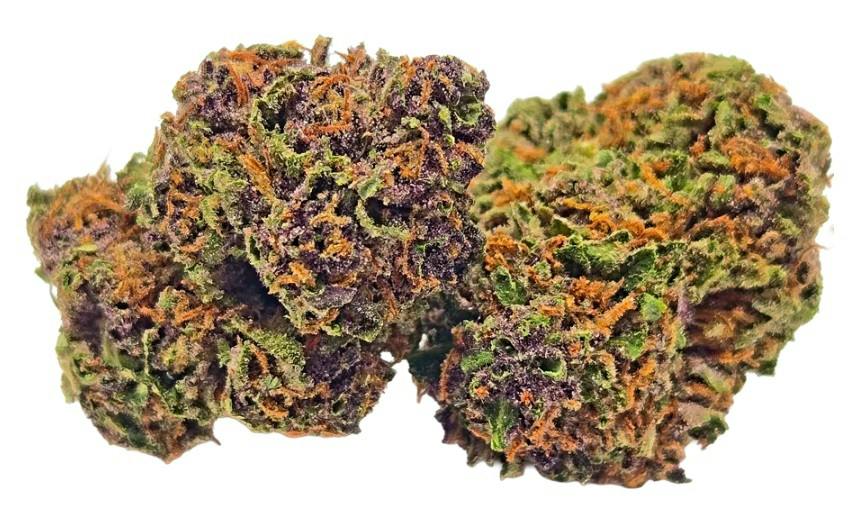 PURPLE HINDU KUSH | 7G| Indica| Toking Farms