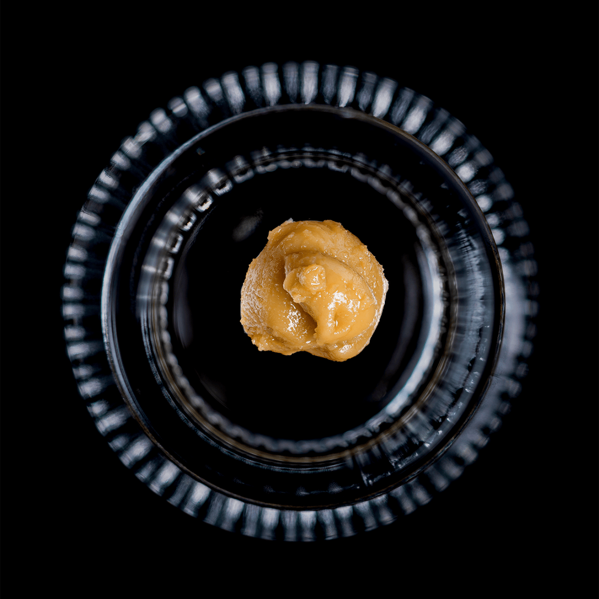 Macaroon #31 Forte