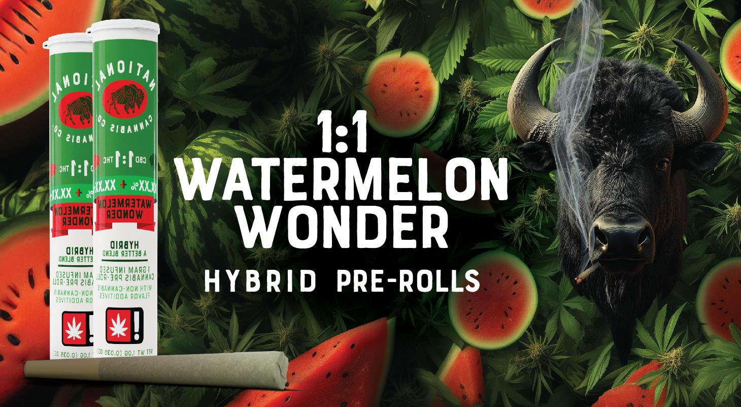 1:1 Watermelon Wonder | CBD/THC Infused 1g Pre-Roll| hybrid| National Cannabis