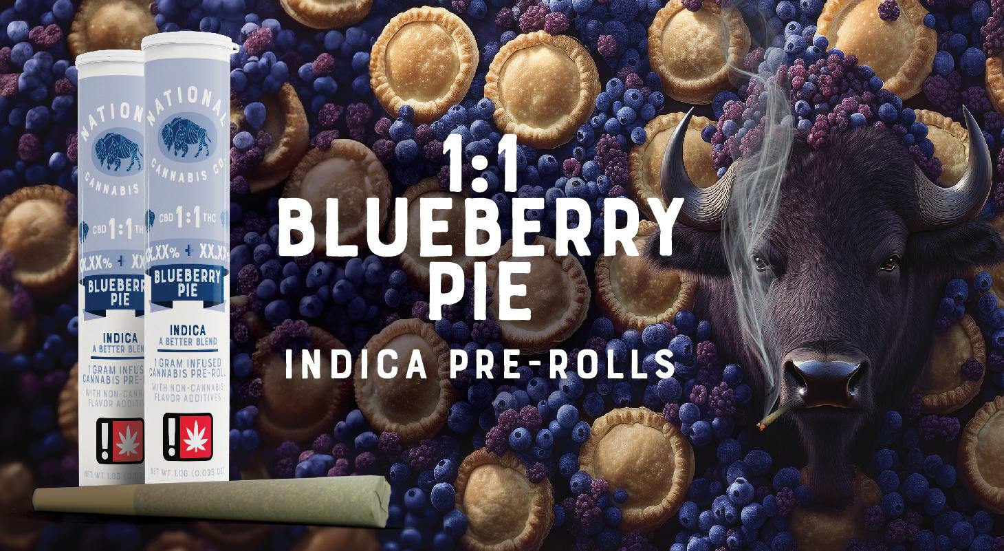1:1 Blueberry Pie| CBD/THC 1g Infused Indica Pre-Roll| National Cannabis