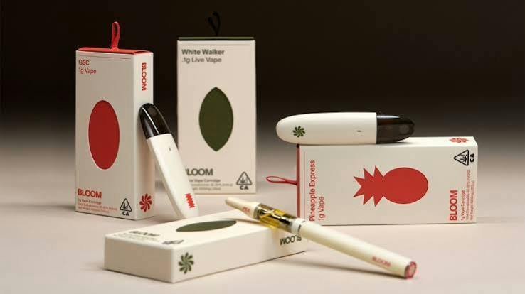 BLOOM - JACK HERER - SATIVA - AIO - 1 g