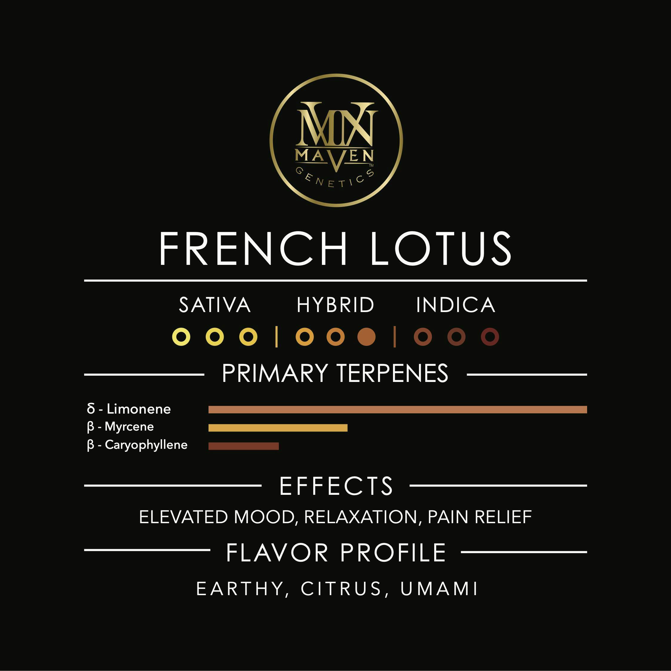 MAVEN - FRENCH LOTUS - HYBRID - PREROLL - 2.5 g - 5 Pack